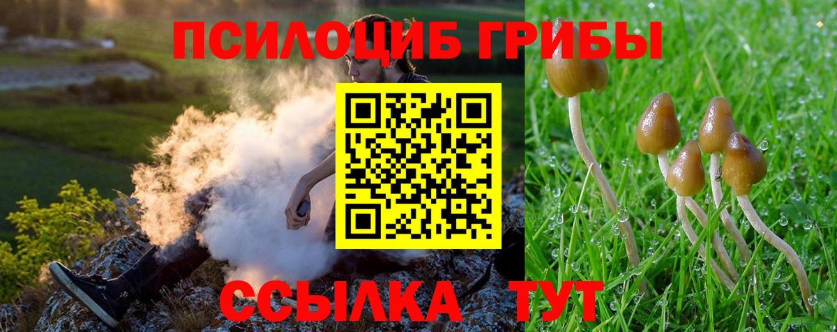Галлюциногенные грибы мухоморы Верхняя Салда